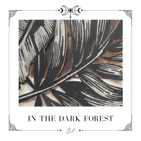 3.1 In the dark forest