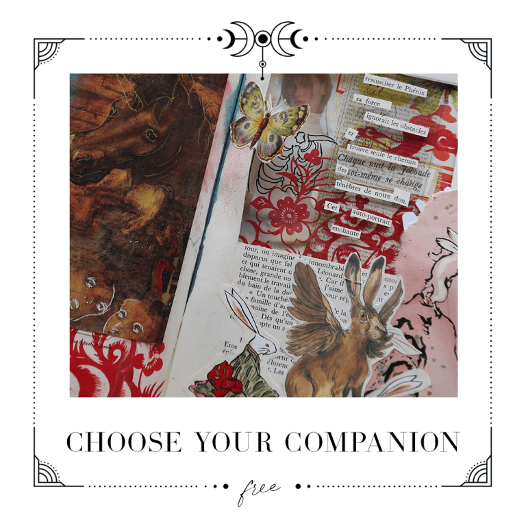 Choose Your Companion