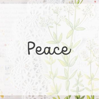 Lesson 6 – Peace